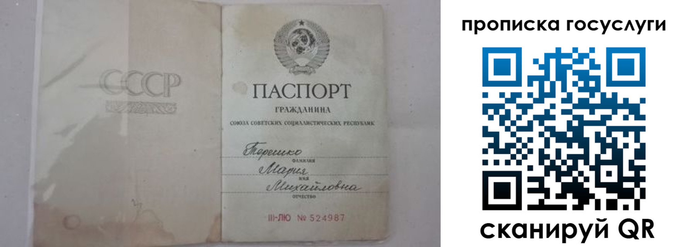 прописка ребенка в Домодедово